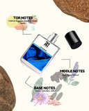 Dylan Blue - Inspired by Ve*sace Dylan Blue-3