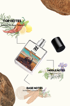 Reflection - WH Inspired perfume | TMPerfumehouse