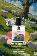 Why Curos - DG Inspired perfume | TMPerfumehouse
