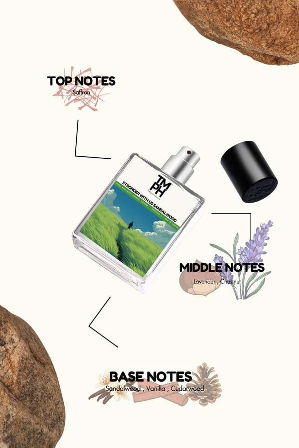 Stronger with us Sandalwood - LG Inspired Perfume | TMPerfumehouse