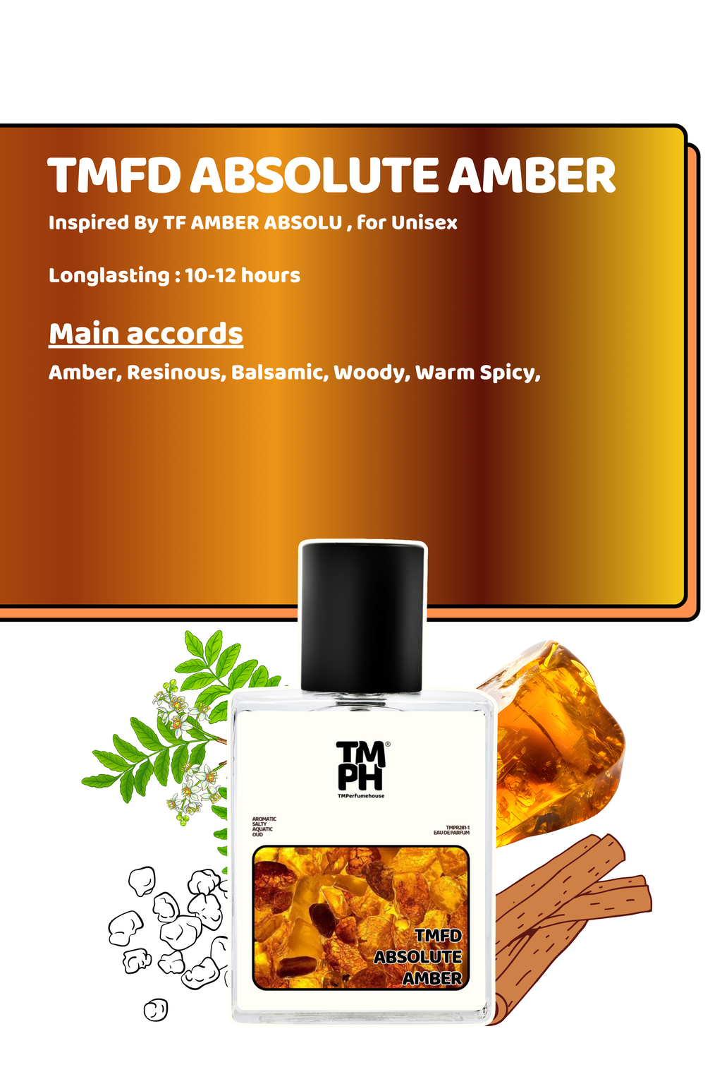 Tmfd Absolute amber – Inspired Perfume | TMPerfumehouse