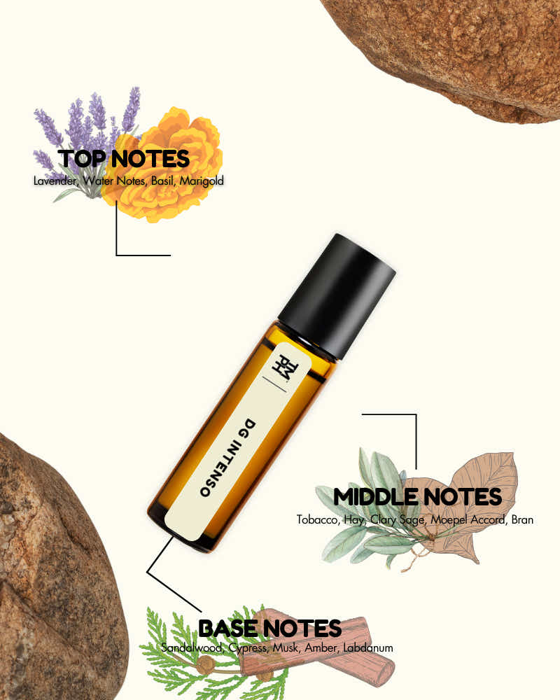 DoTERRA Oregano essential oil bottle with botanical elements and notes on a white background