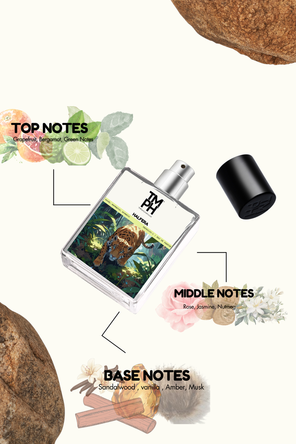 Halfera - Inspired perfume | TMPerfumehouse