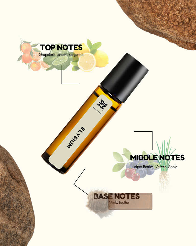 ELYSIUM AT – Inspired by Roja Elysium | Premium Long Lasting  Pure Perfume Oil