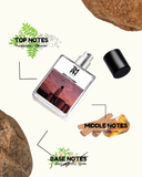 Absolute Amber – Inspired by To*m Ford Amber Absolute | TMPerfumehouse