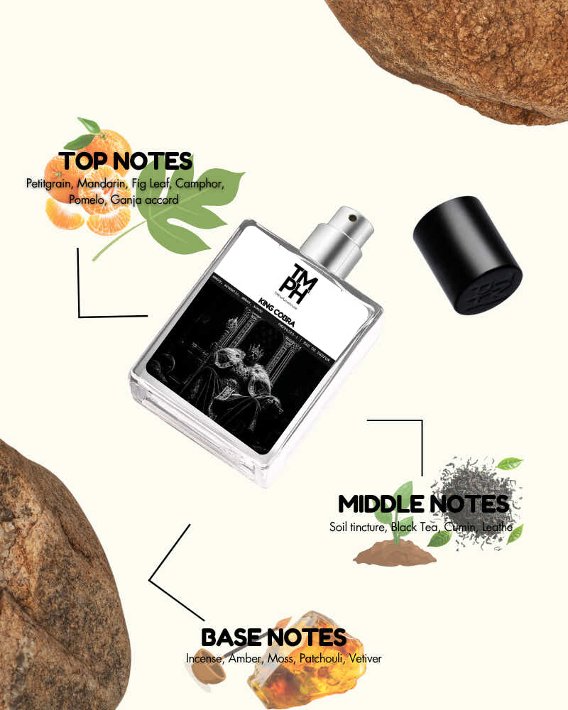 King Cobra - Inspired perfume | TMPerfumehouse