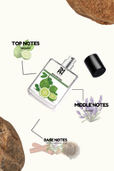 Boyd Portugal - Inspired perfume | TMPerfumehouse