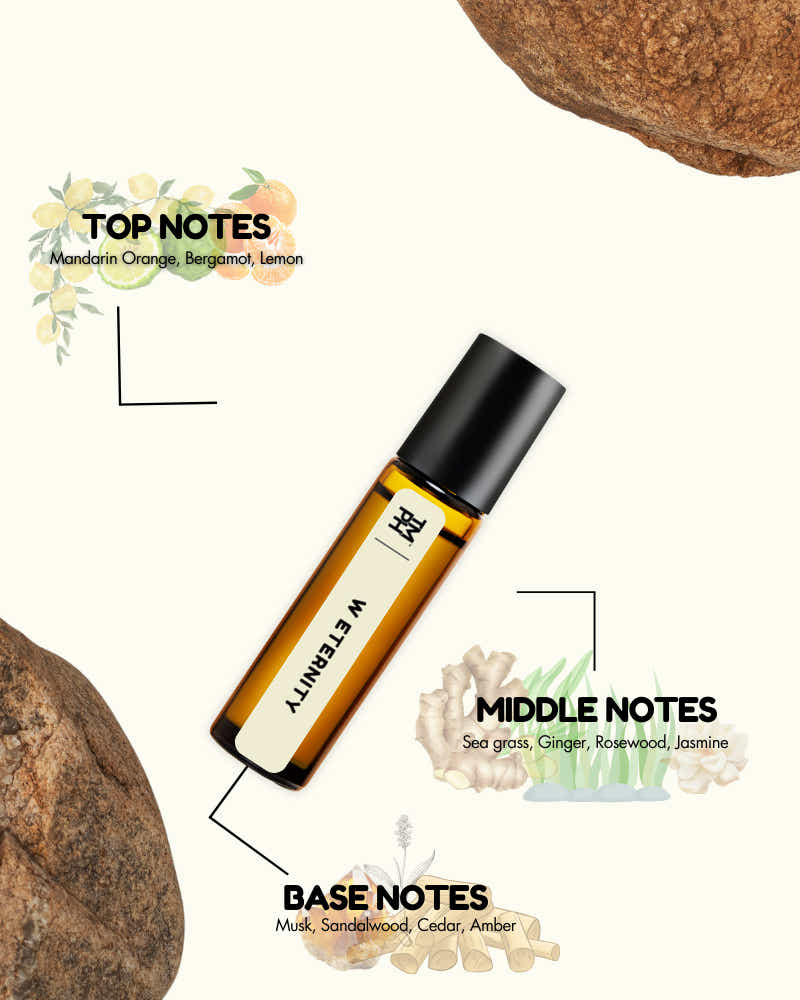 Roll-on bottle with essential oil notes labeled on a white background