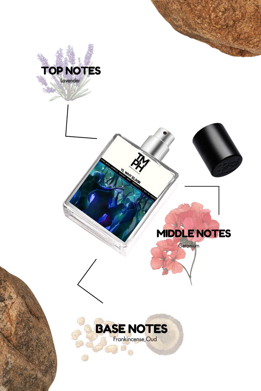 YL Why Elixir - LG Inspired perfume | TMPerfumehouse