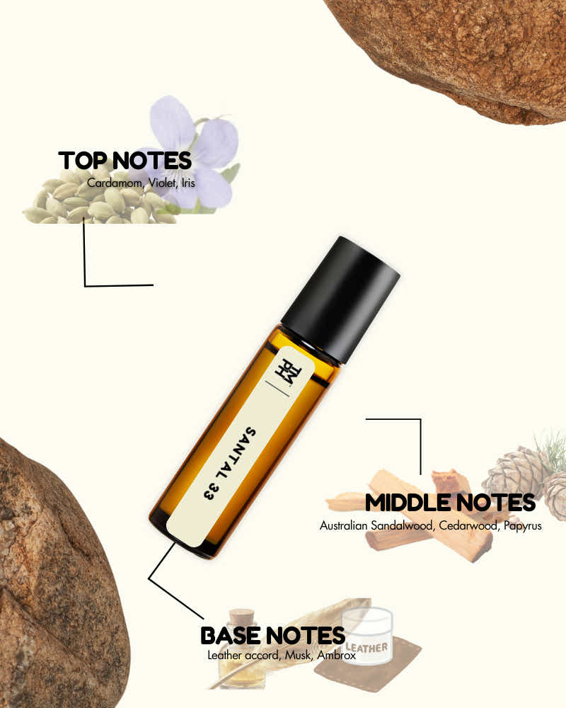 Roll-on bottle with essential oil notes labeled on a white background
