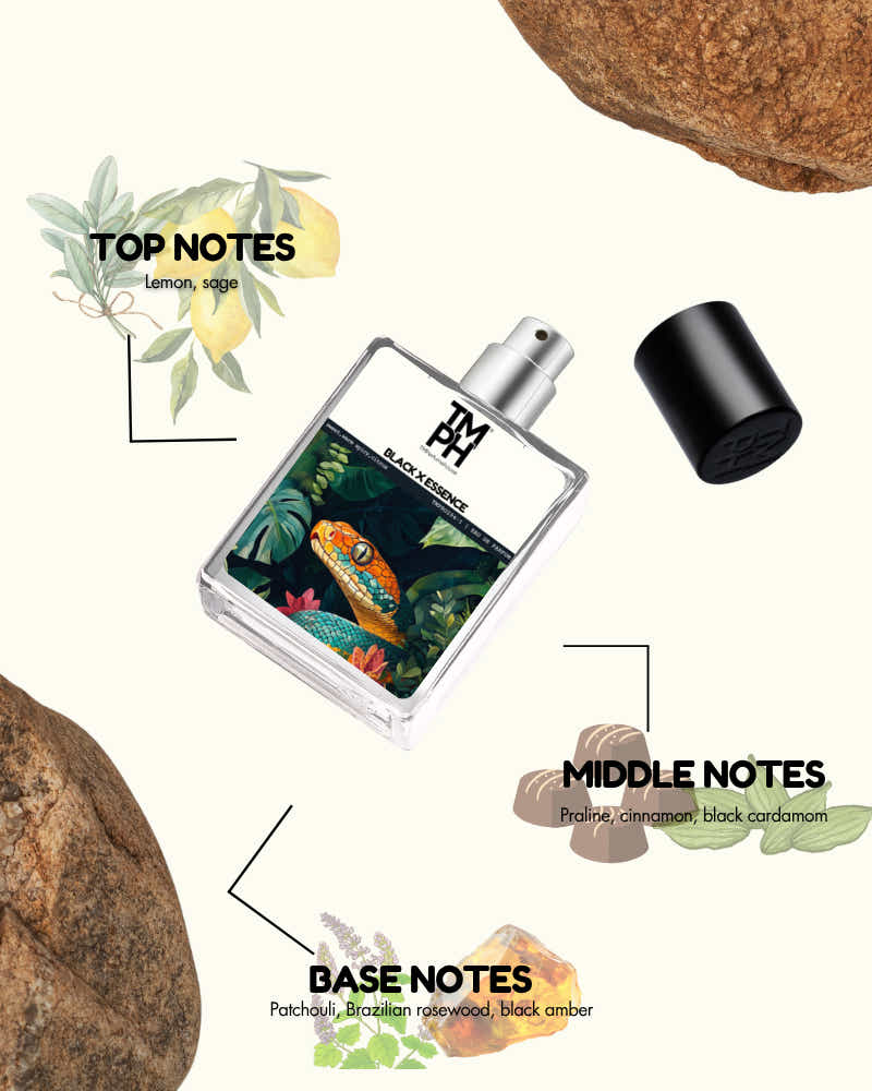 Black X Essence - Inspired Perfume | TMPerfumehouse
