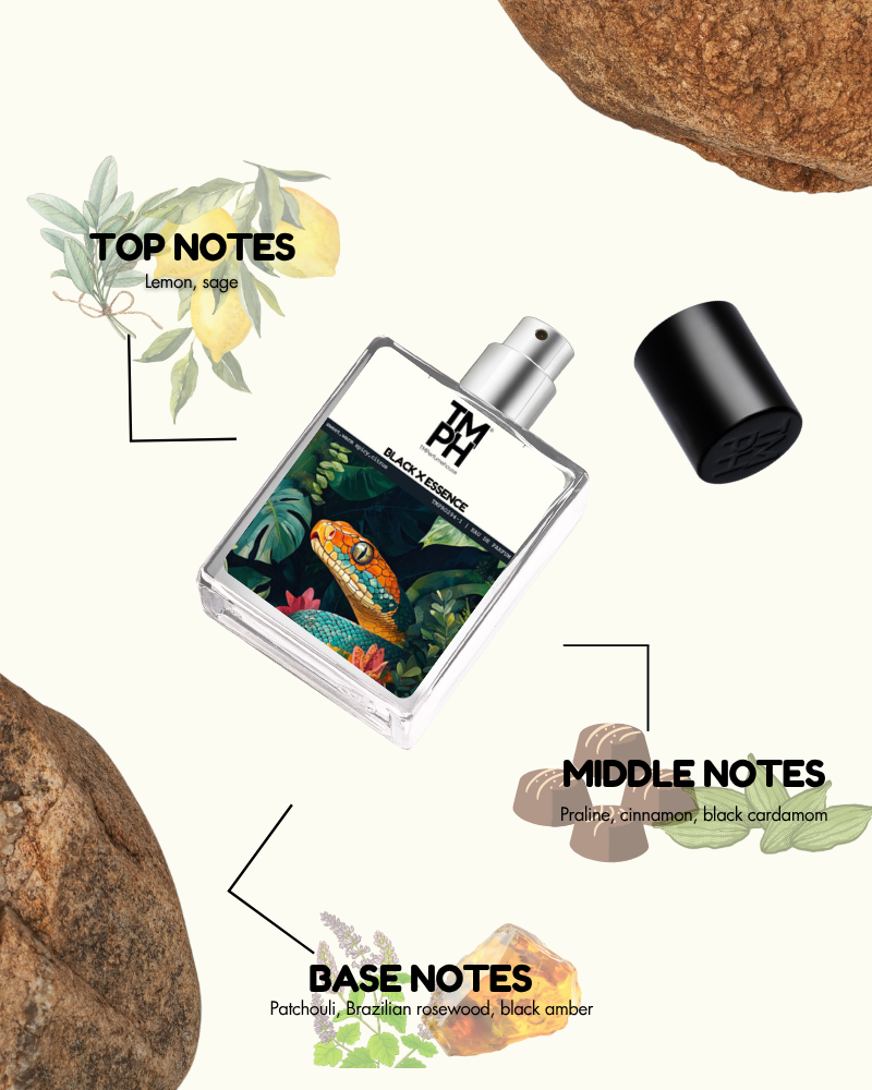 Black X Essence - Inspired Perfume | TMPerfumehouse