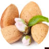 Almond