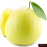 Bergamot