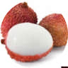 Litchi