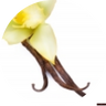 Vanilla