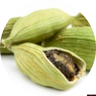 Cardamon
