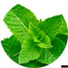 Mint notes
