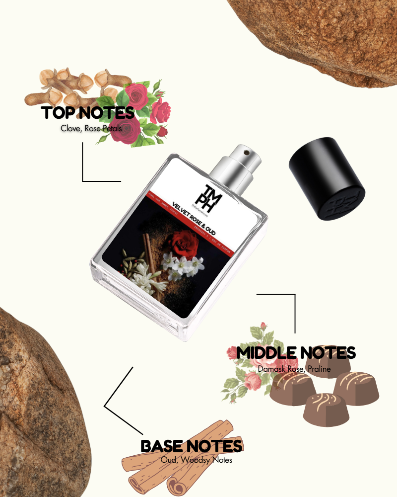 Velour Rose & Oud – DG Inspired perfume | TMPerfumehouse